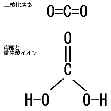 二酸化炭素.gif