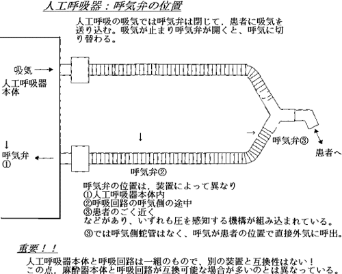 器 仕組み 呼吸 人工