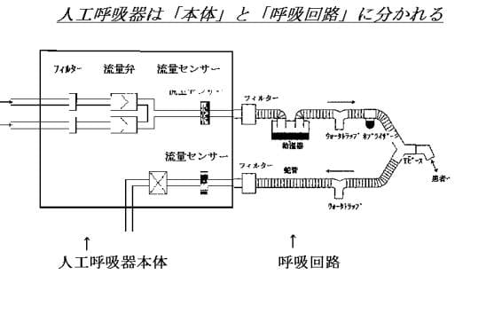 jinkoele.jpg