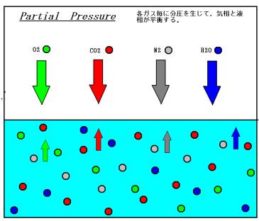 Partial_Pressure.jpg