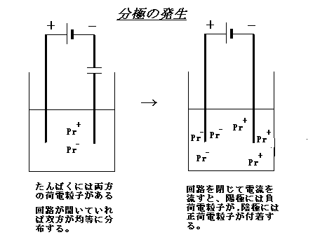 Polarrization.gif