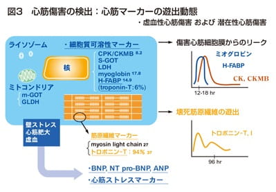 循環救急におけるバイオマーカー診断 A)急性冠症候群