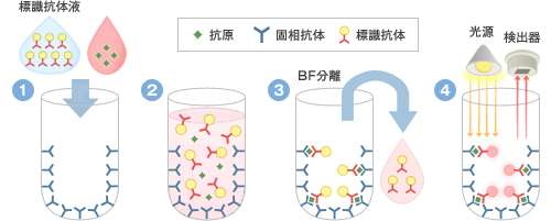 標識抗体法 免疫検査の基礎原理 ラジオメーターの学術情報サイト Www Acute Care Jp