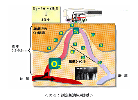 図4：測定原理の概要