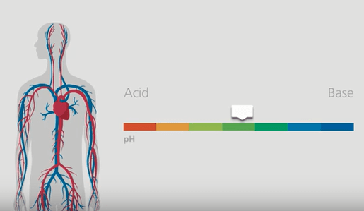 酸塩基平衡解説ビデオ